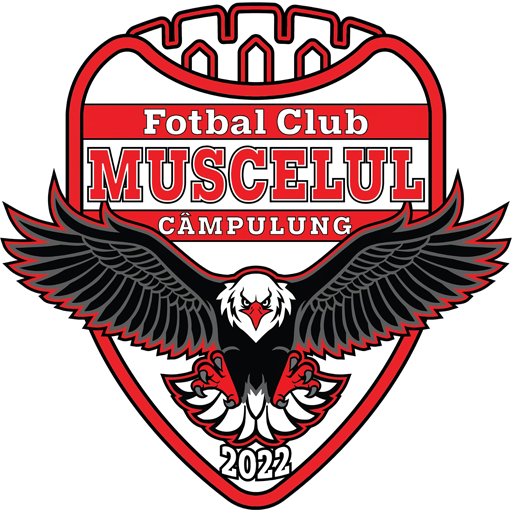 AFC Câmpulung Muscel