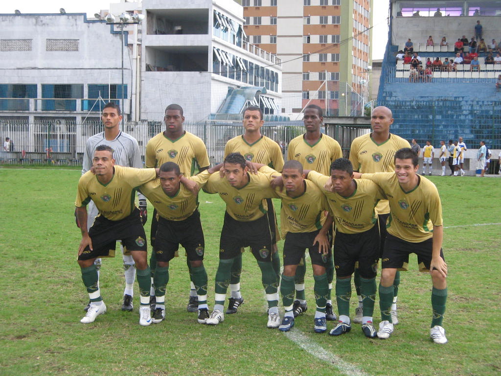 Tigres do Brasil